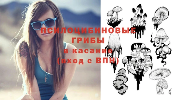 ПСИЛОЦИБИНОВЫЕ ГРИБЫ Алексеевка
