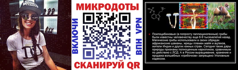 Галлюциногенные грибы Psilocybine cubensis  Ивдель 